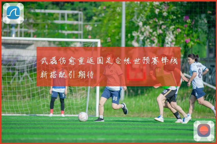 武磊伤愈重返国足合练世预赛锋线新搭配引期待