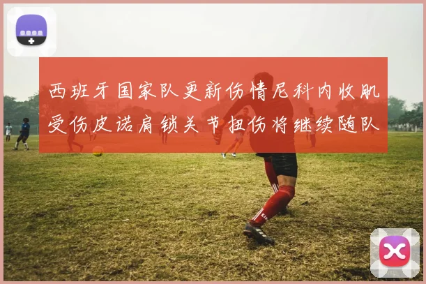 西班牙国家队更新伤情尼科内收肌受伤皮诺肩锁关节扭伤将继续随队训练