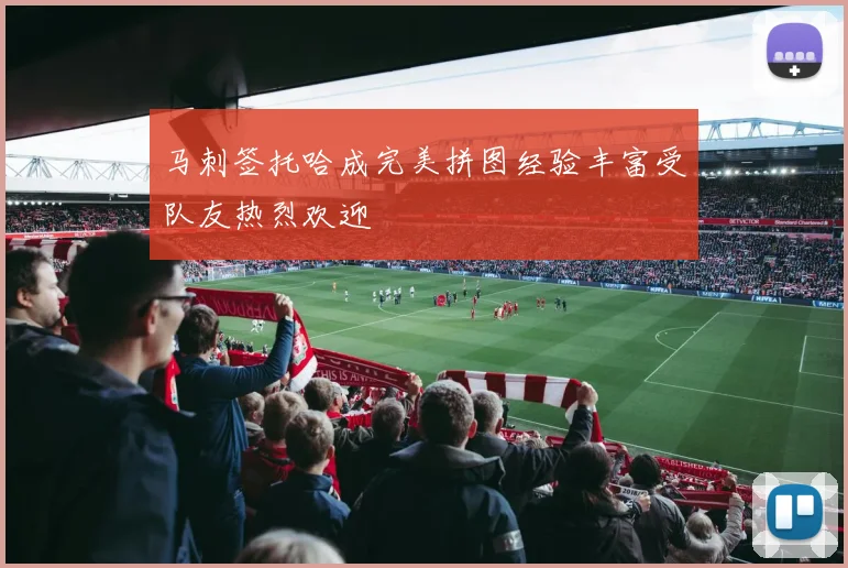 马刺签托哈成完美拼图经验丰富受队友热烈欢迎