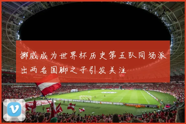 挪威成为世界杯历史第五队同场派出两名国脚之子引发关注