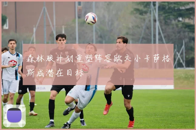 森林狼计划重塑阵容欧文小卡萨格斯成潜在目标